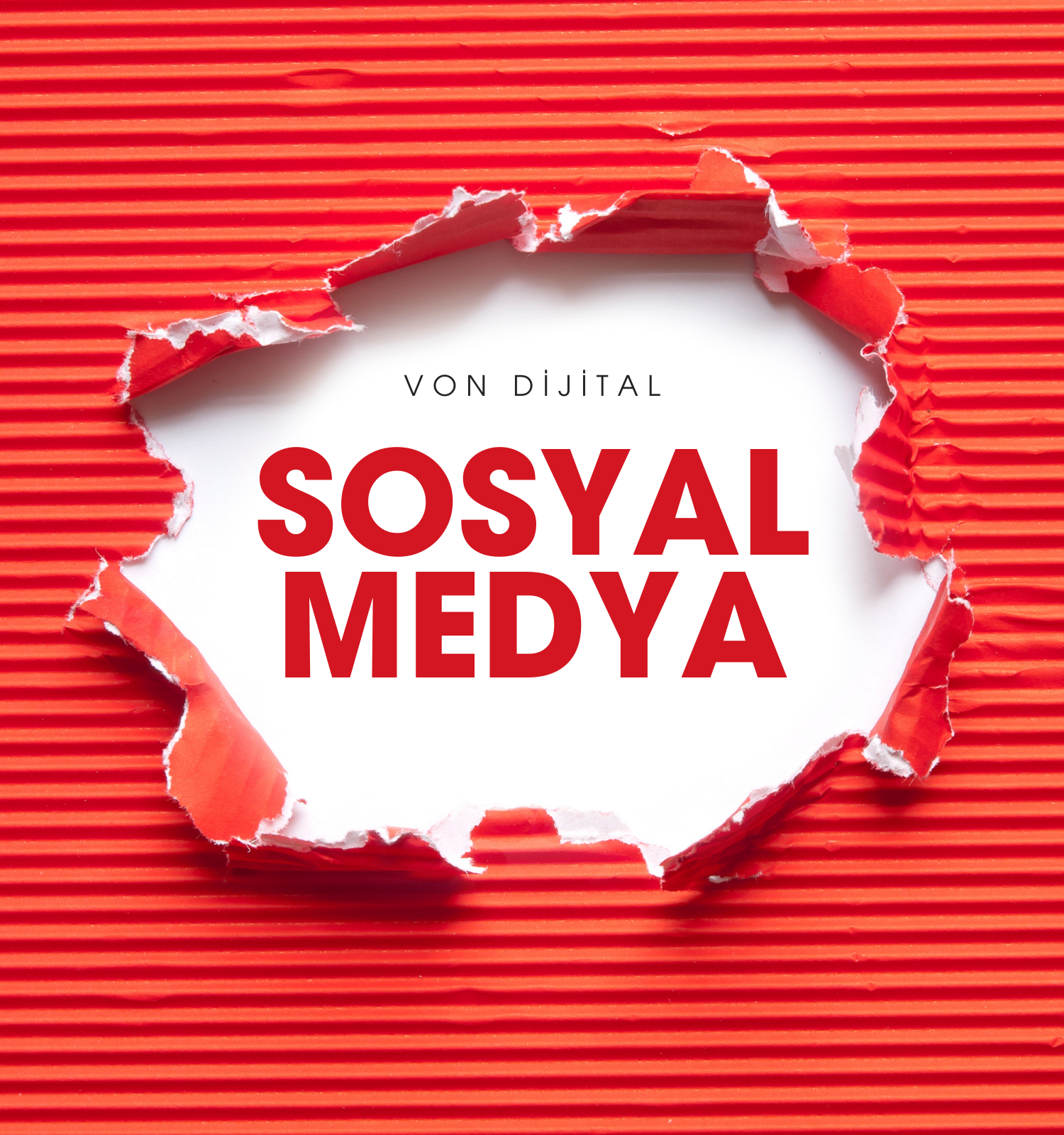 Sosyal Medya Yönetimi
